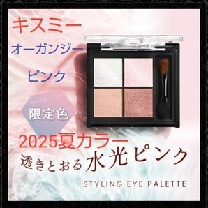 キスミー フェルム スタイリングアイパレット限定色 01 オーガンジーピンク アイシャドウ パレット レア品