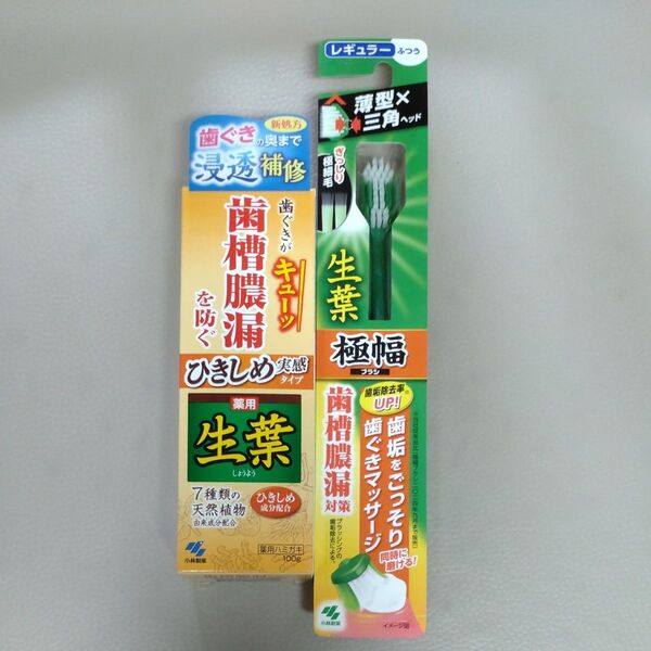 小林製薬 生葉 歯ブラシと歯磨き粉セット