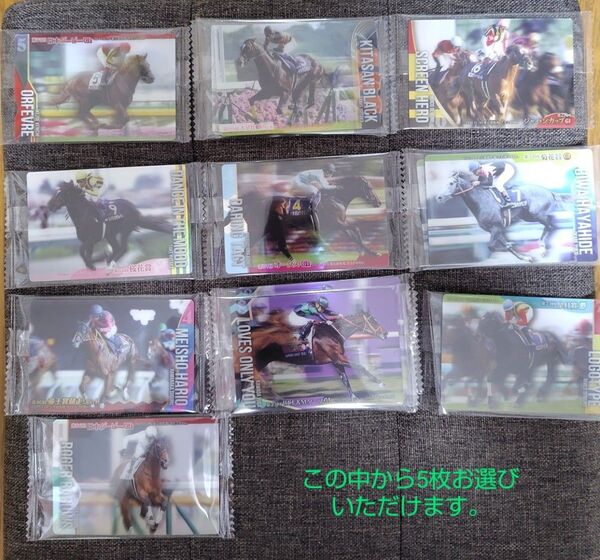 サラブレッドホースコレクション 第2R 選べるノーマルカード5枚セット