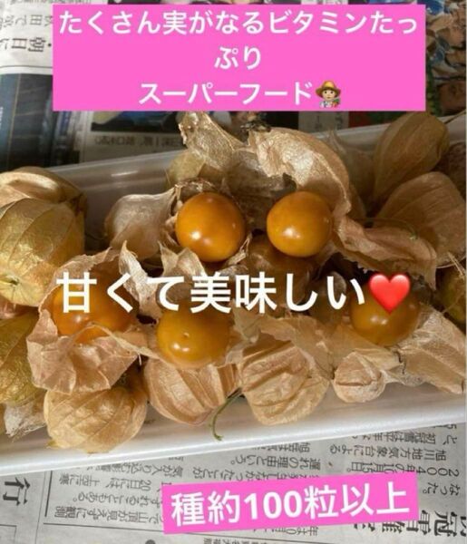 ラスト 甘い!ほおずきの種 メルカリ便