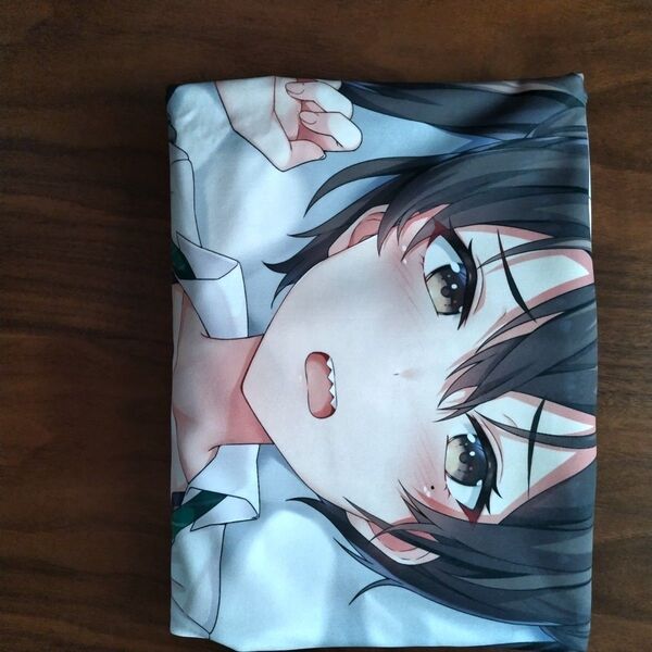 Z-M Pillows アイドルマスターシンデレラガールズ 砂塚あきら 抱き枕カバー アクアプレミア