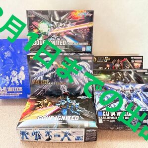 8月1日まで第二弾 積みプラ放出 HG SEEDシリーズ、MGSDウイングゼロカスタム 一番くじガンダム おまけあり