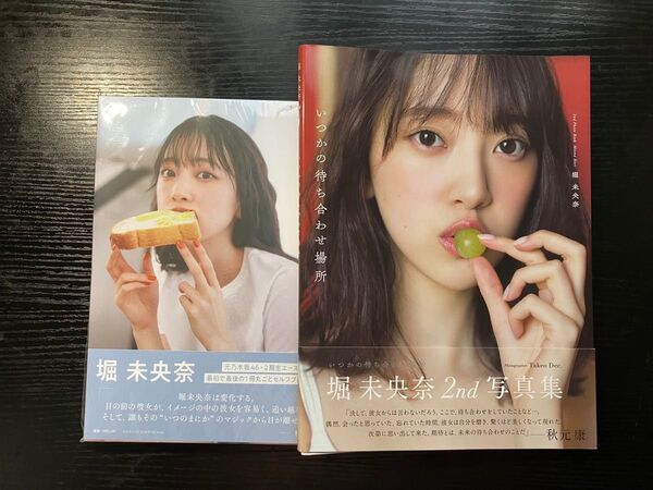 【2冊セット】堀未央奈 2nd 写真集 1stフォトブック