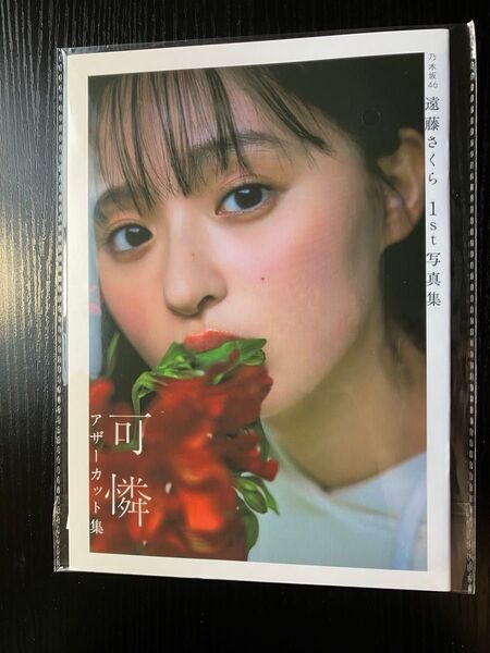 【推しクーポン対応】乃木坂46 遠藤さくら 写真集 可憐 アザーカット