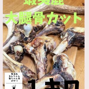 蝦夷 鹿大腿骨1キロ 無添加 犬デンタルボーン 犬デンタルガム 犬猫 骨 おやつ 賞味期限 製造より180日