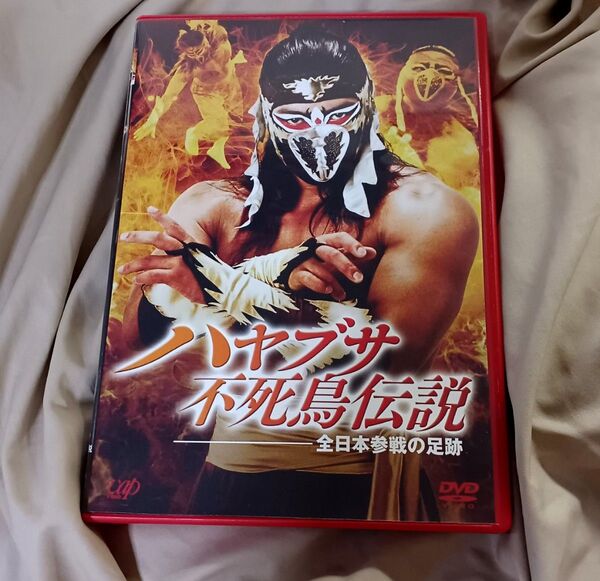 ハヤブサ不死鳥伝説 全日本参戦の足跡 DVD