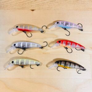 最終値下 美品 ハルシオンシステム 月虫 55 沈 エリア アワビカラー 6個セット