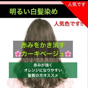 スロウ 白髪染め ヘアカラー 【プリミエンス イルミナカラー トリートメント など!同梱割有おまとめはコメントくださいませ】ー