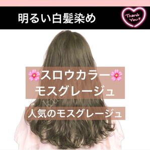 スロウ 白髪染め ヘアカラー 【プリミエンス イルミナカラー トリートメント など!同梱割有おまとめはコメントくださいませ】