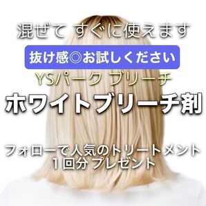 YSパーク ホワイトブリーチ剤【イルミナカラー アディクシー スロウ トリートメント 同梱割引有おまとめはコメントくださいませ】