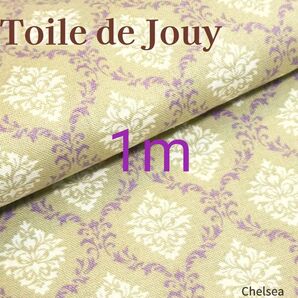 1m d3 ライトグリーン トワルドジュイ ダマスク柄 フランス ToiledeJouy 生地 ロココ調