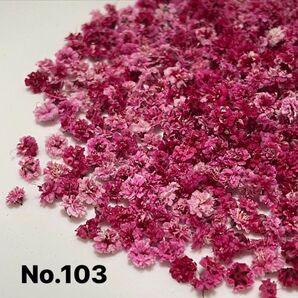 No.103かすみ草ドライフラワーMIX