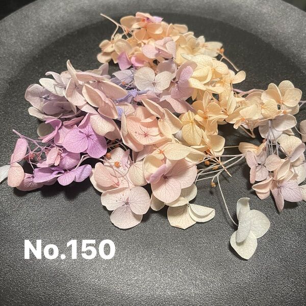 No.150 アジサイ アナベル プリザーブドフラワー 淡いグラデーション在庫1点