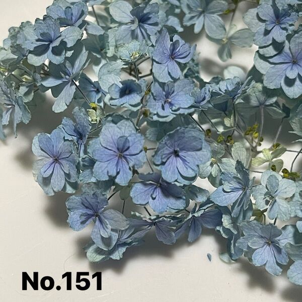 No.151アジサイドライフラワー淡いブルー
