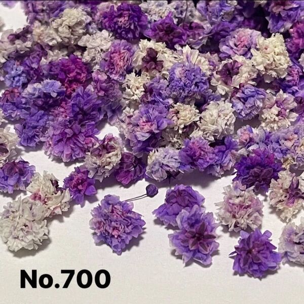 No.700かすみ草大粒入りドライフラワーパープルMIX訳あり