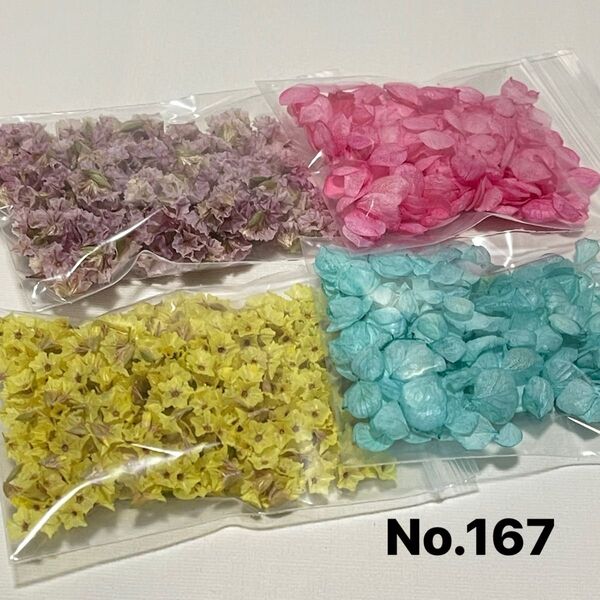 No.167ドライフラワー花びらアナベル ハイブリッドスターチス