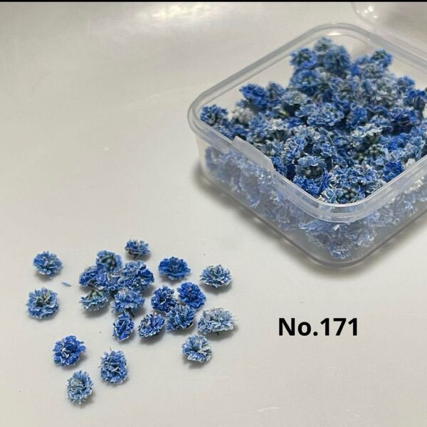 No. 171かすみ草ドライフラワーロイヤルブルーパステルケース付き