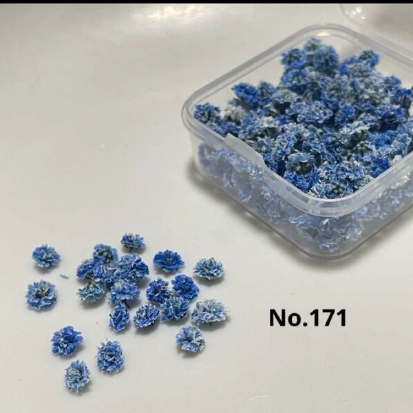 No. 171かすみ草ドライフラワーロイヤルブルーパステルケース付き