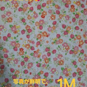 小さいイチゴ柄生地 アイボリーピンク 綿100% 1M イチゴ柄 いちご柄 小花柄 花柄 1280円購入 出品のみで完売です☆