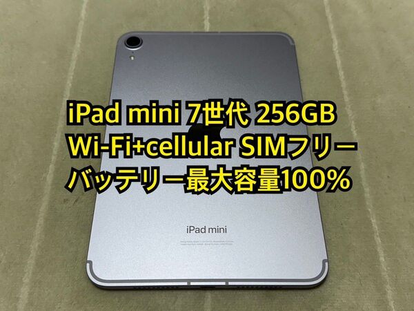iPad mini 7世代 256GB Wi-Fi+cellular 国内版SIMフリー