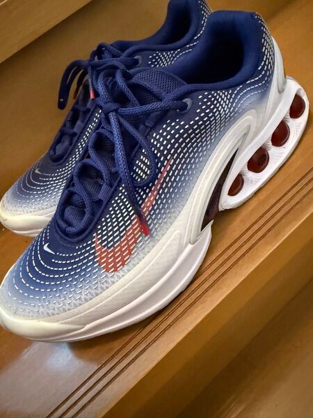 NIKE AIR MAX Dn OLY ナイキ エアマックス Dn オリンピック ジム/トレーニング ランニング 27cm