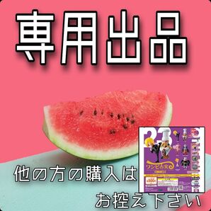 【sj3*****様専用】ワンピの実 POP台紙