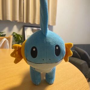 ポケモンセンター ミズゴロウ ぬいぐるみ
