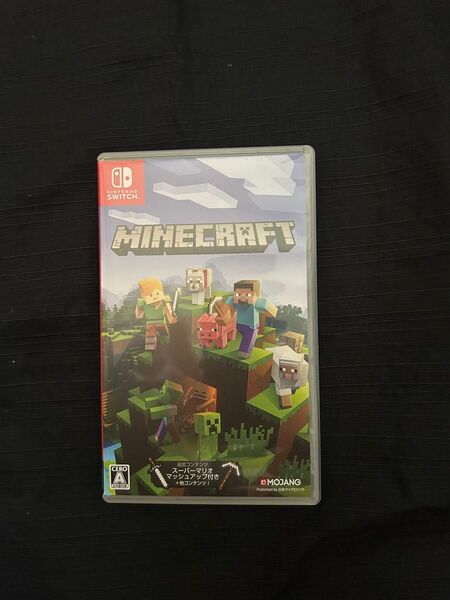 ケースのみ! マインクラフト Switch Nintendo