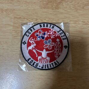 航空自衛隊 COPE NORTH 2020 パッチ
