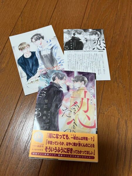 恋だってできる コミコミ 特典 SS ペーパー イラストカード 付 切江真琴 木下けい子 新書館ディアプラス文庫