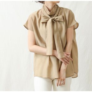 Gready Brilliant(グレディ ブリリアン)シアーHNリボンフレンチブラウス (CAM)