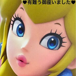 マキアージュ ドラマティックパウダリー EXベージュオークル20