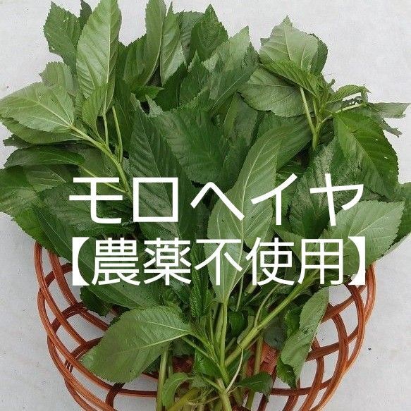 モロヘイヤ【農薬不使用】300g
