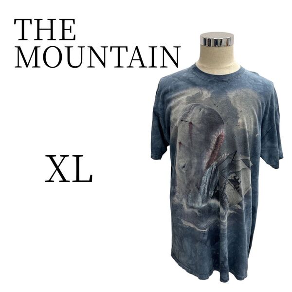 ★美品 THE MOUNTAIN ザマウンテン 青 半袖 プリントTシャツ XL(LL)