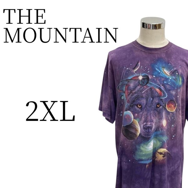 ★美品 THE MOUNTAIN ザマウンテン 紫 半袖 Tシャツ・カットソー トップス 2XL(3L)