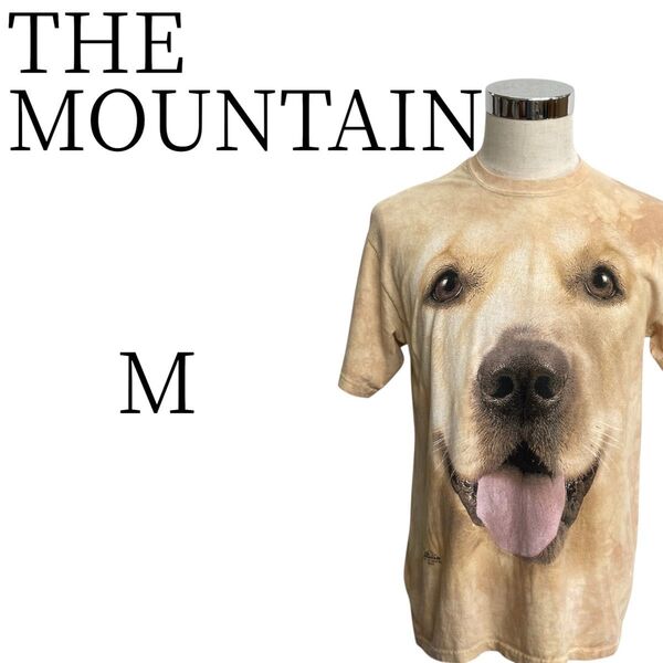 ★美品 THE MOUNTAIN ザマウンテン ベージュ 半袖 Tシャツ・カットソー トップス M