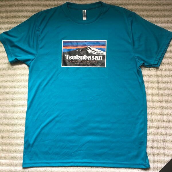 筑波山 パロディTシャツ メンズ Lサイズ ターコイズブルー