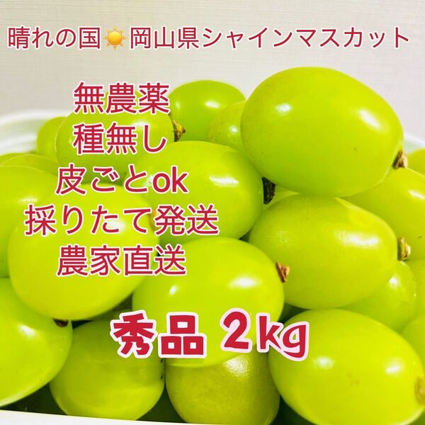 岡山シャインマスカット 無農薬2kg大粒秀品粒だけ完熟糖度16以上 パリッとした食感 特別芳純な香り 贅沢な甘さ絶品 温室シャイン