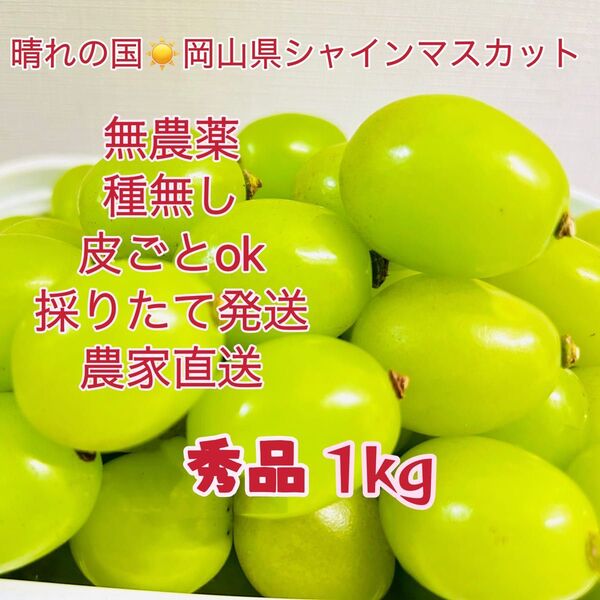岡山シャインマスカット 無農薬1kg大粒秀品粒だけ完熟糖度16以上 パリッとした食感 特別芳純な香り 贅沢な甘さ絶品 温室シャイン