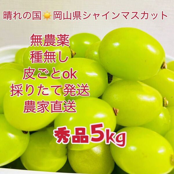 岡山シャインマスカット 無農薬5kg大粒秀品粒だけ完熟糖度16以上 パリッとした食感 特別芳純な香り 贅沢な甘さ絶品 温室シャイン