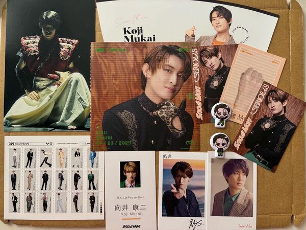 SnowMan 向井康二 CD特典 SERIOUS