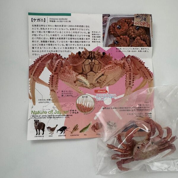 日本のいきもの Nature of Japan vol.03 26 ケガニ 【ガチャガチャ】