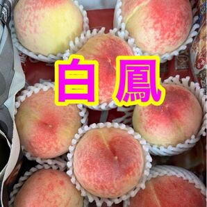 桃 白鳳 タイムセール 約1キロ 5〜8玉 ご家庭用 ゆうパケットプラス発送