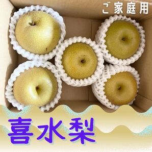 梨 喜水 5~6玉 約1kg 家庭用