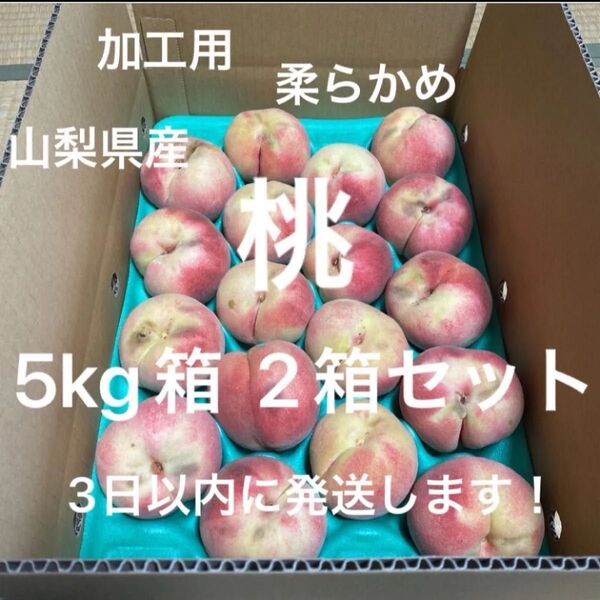 ③加工用 桃 山梨県産 5kg箱×2箱