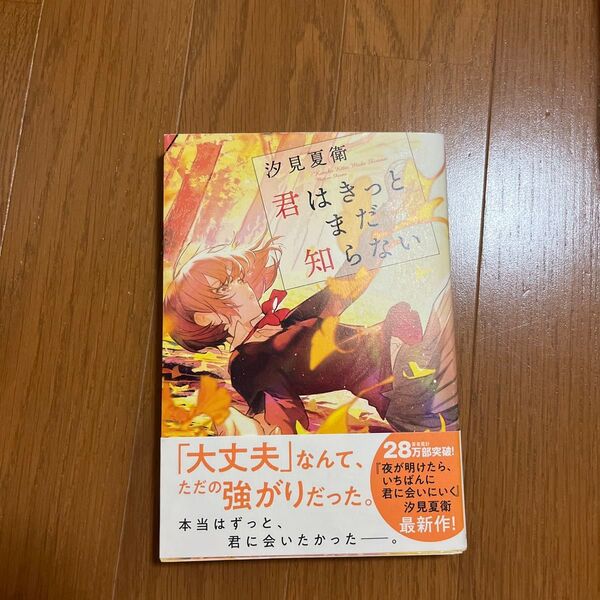 君はきっとまだ知らない 汐見夏衛