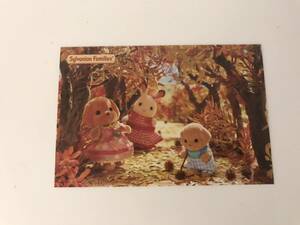 シルバニアファミリー Sylvanian Families ポストカード postcard #k11861