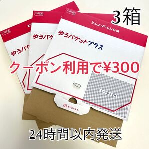 ゆうパケットプラス 専用箱 3箱 ヘアゴム1本