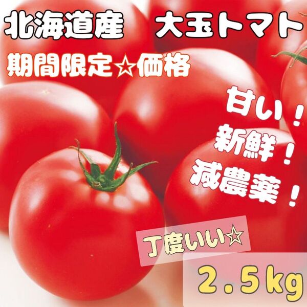 ☆期間限定☆フォロー割あり☆【北海道産 大玉トマト】【丁度いい2.5kg】