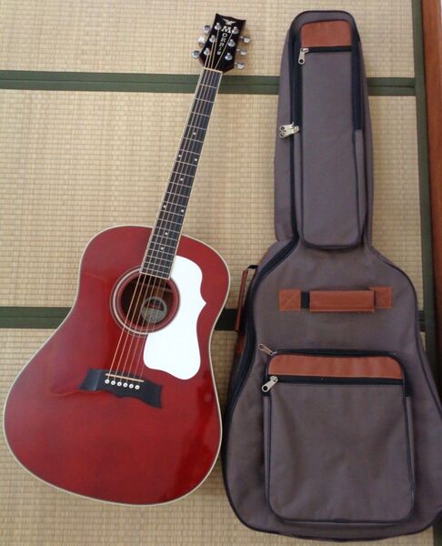 Morris G-401 WR モーリス エレアコ ケース付